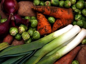 Supporting image for story: ‘Planetary health diet’ could avert premature deaths and safeguard the Earth