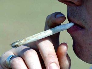 Supporting image for story: Three men arrested on suspicion of supplying cannabis