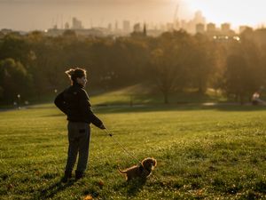 Supporting image for story: Warmest Armistice Day on record as weekend high is forecast to hit 20C