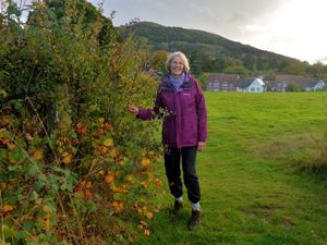 Supporting image for story: Campaigner to give talk on how snap fundraiser raised £400,000 to buy fields for community