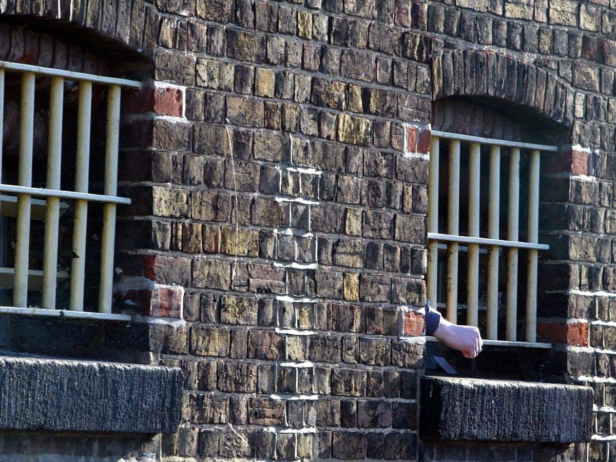 Chemical castration of sex offenders ‘worthwhile’ exploring – review chairman