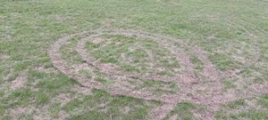 Some of the tread marks on the Pavilion playing field. Picture: Hollinswood & Randlay Parish Council
