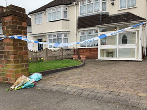 Supporting image for story: Dog attack horror: Animals got through hole in fence to kill 85-year-old woman