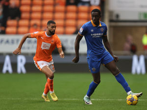 Supporting image for story: Blackpool 4 Shrewsbury Town 0 - Report