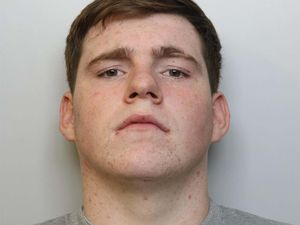 Supporting image for story: Driver who crashed into boy at bus stop sentenced to two years in detention
