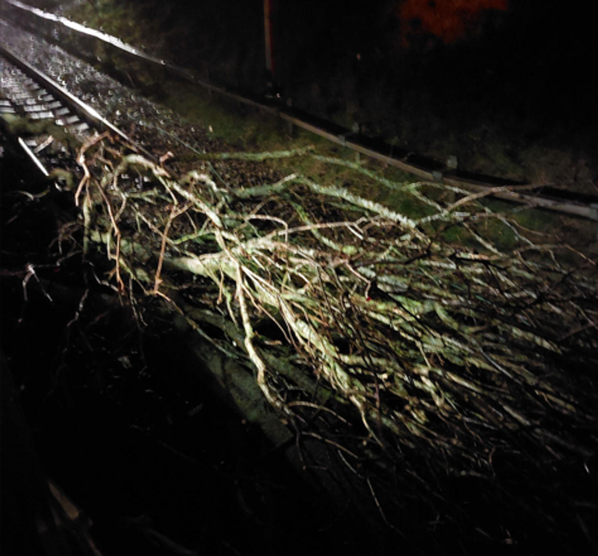 Disruption to West Midlands rail services as severe weather causes damage to overhead lines and fallen tree blocks tracks