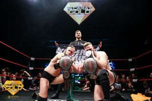 Supporting image for story