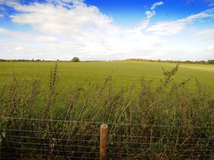Supporting image for story: 'Roads would grind to a halt': Warning over Seven Cornfields housing plans