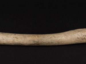 Supporting image for story: DNA from this 124,000-year-old bone suggests humans and Neanderthals mated much earlier than thought