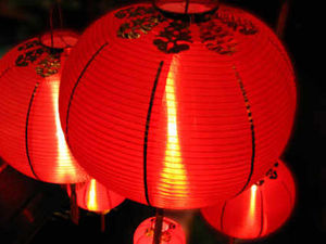 Supporting image for story: Farmers complain of Chinese lantern damage
