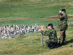 Supporting image for story: The Falklands – time to get real