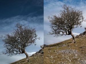 Supporting image for story: Should you upgrade from your smartphone camera? Here’s the difference…