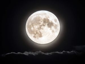 Supporting image for story: ‘Largest and brightest’ supermoon of the year set to delight skygazers