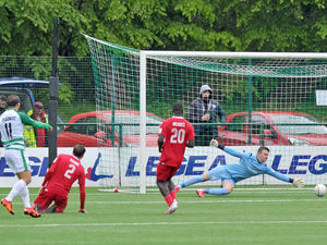 Supporting image for story: Anthony Limbrick: TNS will come back stronger 