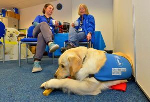 Parsnip the dog with Jess Jarvis and Susie Bell