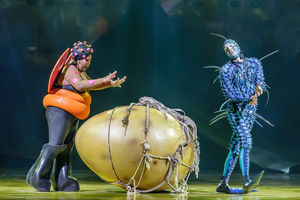 Cirque du Soleil OVO. Pictures by: Chris Bowley