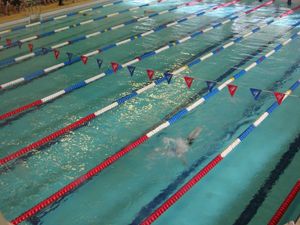 Supporting image for story: Swimmers encouraged to complete council’s budget consultation survey by Sunday