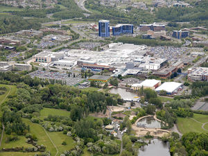 Supporting image for story: Telford recognised as UN 'Tree City of the World' for fourth year in a row - here's why