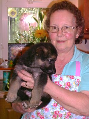 Sandra Boden holding a guide dog puppy born in her home in 2014. Picture: Guide Dogs