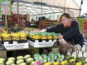 Supporting image for story: Garden centres are blooming