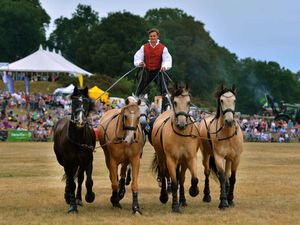 Supporting image for story: In Pictures: Thousands turn out to enjoy Newport Show