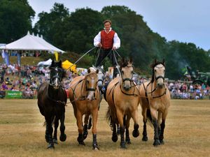 Supporting image for story: In Pictures: Thousands turn out to enjoy Newport Show