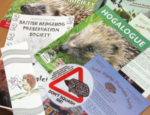 The campaign captured the public's imagination and sparked the formation of the British Hedgehog Preservation Society.