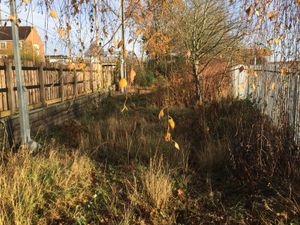 The existing land is overgrown