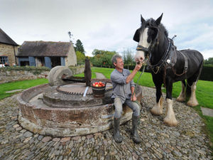 Supporting image for story: Views sought over historic farm attraction 'costing taxpayers £168,000 per year'