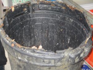 The bins were found to be covered in dirt and food mess