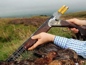 Supporting image for story: Shotgun certificates issued to more than 3,500 children and teenagers