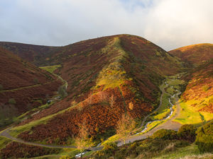 Supporting image for story: Hunt denies laying trails on the Long Mynd after licence revoked