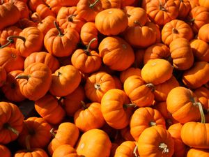 Supporting image for story: Pumpkin parade proves a hit