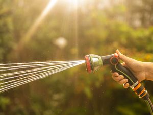 Supporting image for story: Hosepipe ban announced for Kent and Sussex amid ‘record water demand’