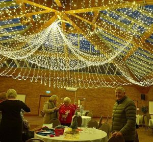 Michael Cardy Admiring beautiful Christmas decorations 