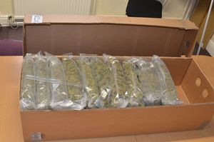 Cannabis was found in boxes in a hire car