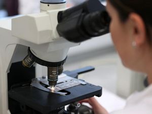 Supporting image for story: Cancer vaccine can ‘train immune system to stop tumours developing’