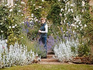 Supporting image for story: 'There is always something new to see': Behind the scenes at Dorothy Clive Gardens