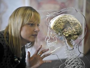 Supporting image for story: Women’s brains metabolically younger than men’s, a study has found