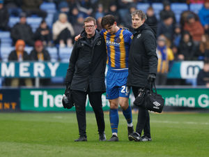 Supporting image for story: Steve Cotterill: Injuries decimating Shrewsbury 