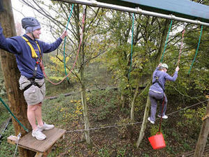 Supporting image for story: Forest adventure course offers a natural high
