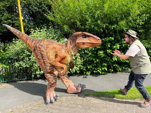 Supporting image for story: Dinosaur Discovery: Roar-some fun at Apley Farm Shop