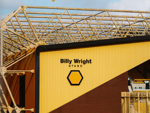 Supporting image for story: Wolves remove wolf from crest as part of vital environmental campaign