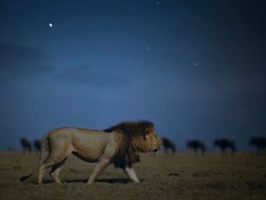 Supporting image for story