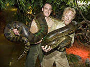 Supporting image for story: Snakeman helps big move