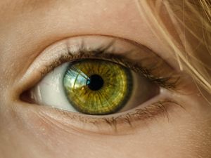 Supporting image for story: Sight loss support group in Shrewsbury open day