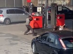 Supporting image for story: Home secretary calls for Bully ban after distressing footage shows dog attack on 11-year-old girl