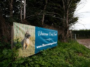 Supporting image for story: Kennel fire that killed 11 dogs started accidentally