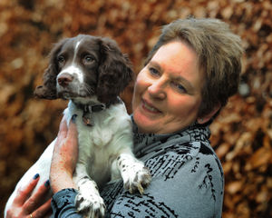 Supporting image for story