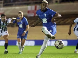 Supporting image for story: Dudley man arrested on suspicion of racially abusing Birmingham City footballer at The Hawthorns